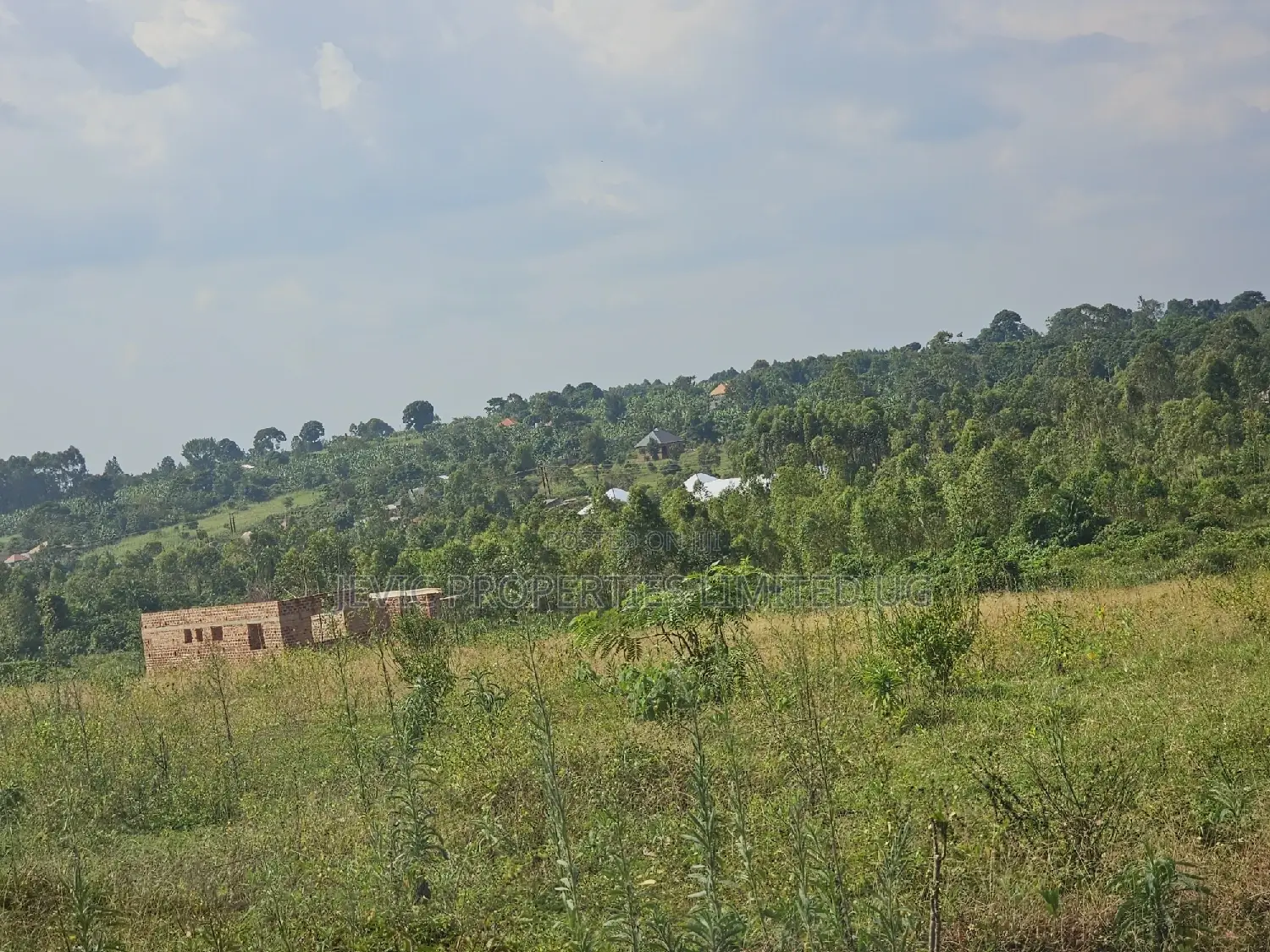 Did You Know That Owning Land Is Still Possible in Wakiso