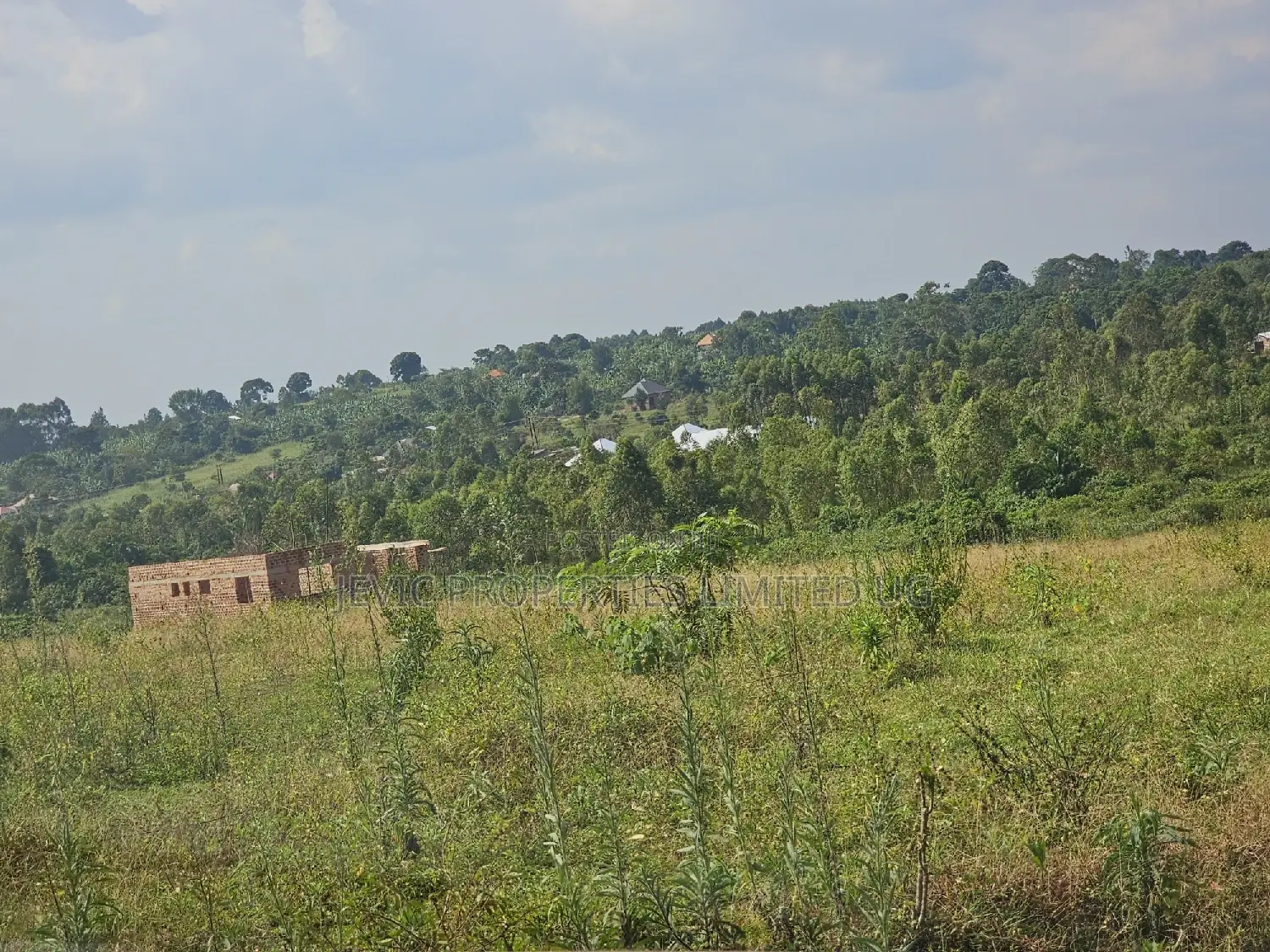 Did You Know That Owning Land Is Still Possible in Wakiso