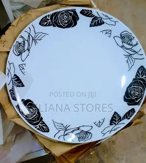 Flat 10 Inch Dinner Plates
