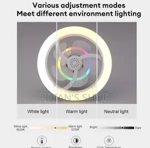 Modern Intelligent Rotating Ceiling Fan