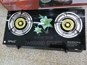 2in1 Gas Cooker Stove