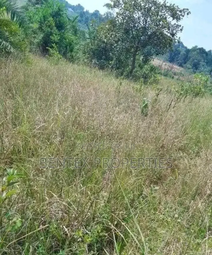 6square Miles in Hoima Each Acre at 8m
