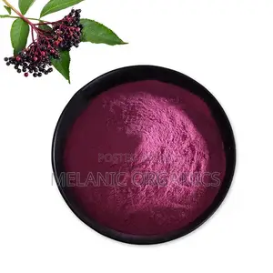 Photo - Elderberry Extract 100gm