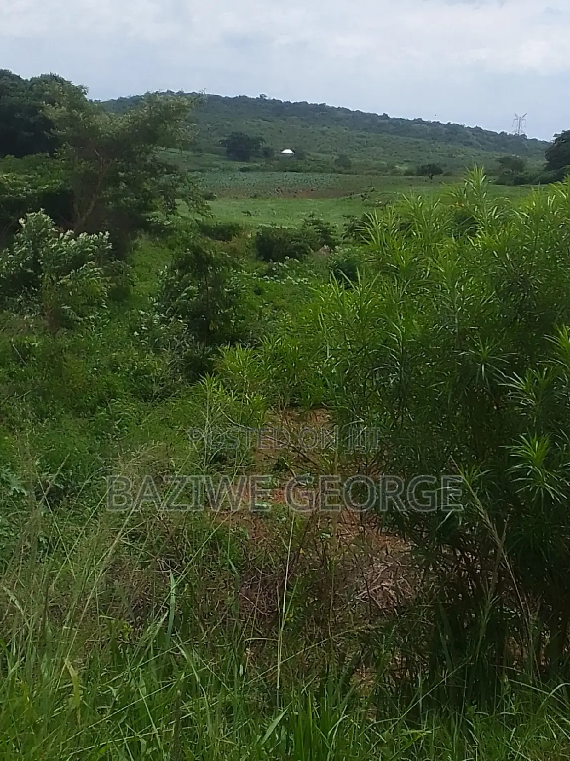 250 Acreas Close to Airport Hoima Buseruka