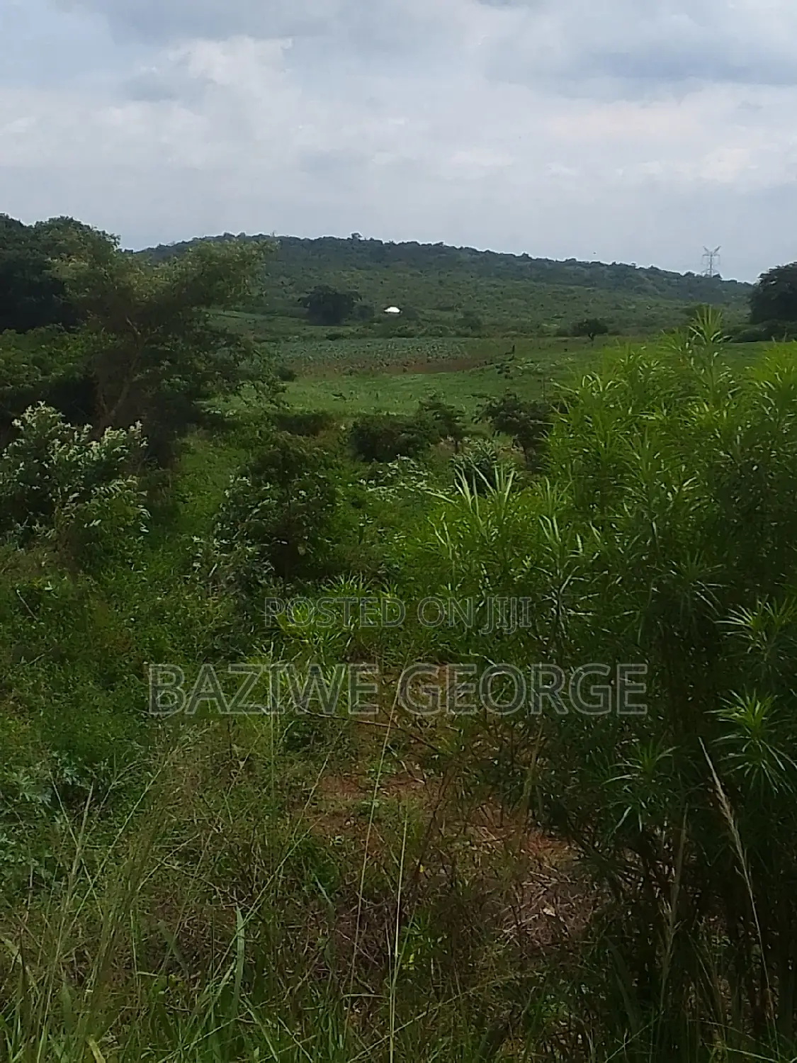 250 Acreas Close to Airport Hoima Buseruka