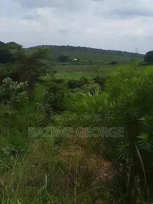 250 Acreas Close to Airport Hoima Buseruka