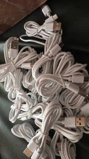 100 USB Charging Cable ( Type C)