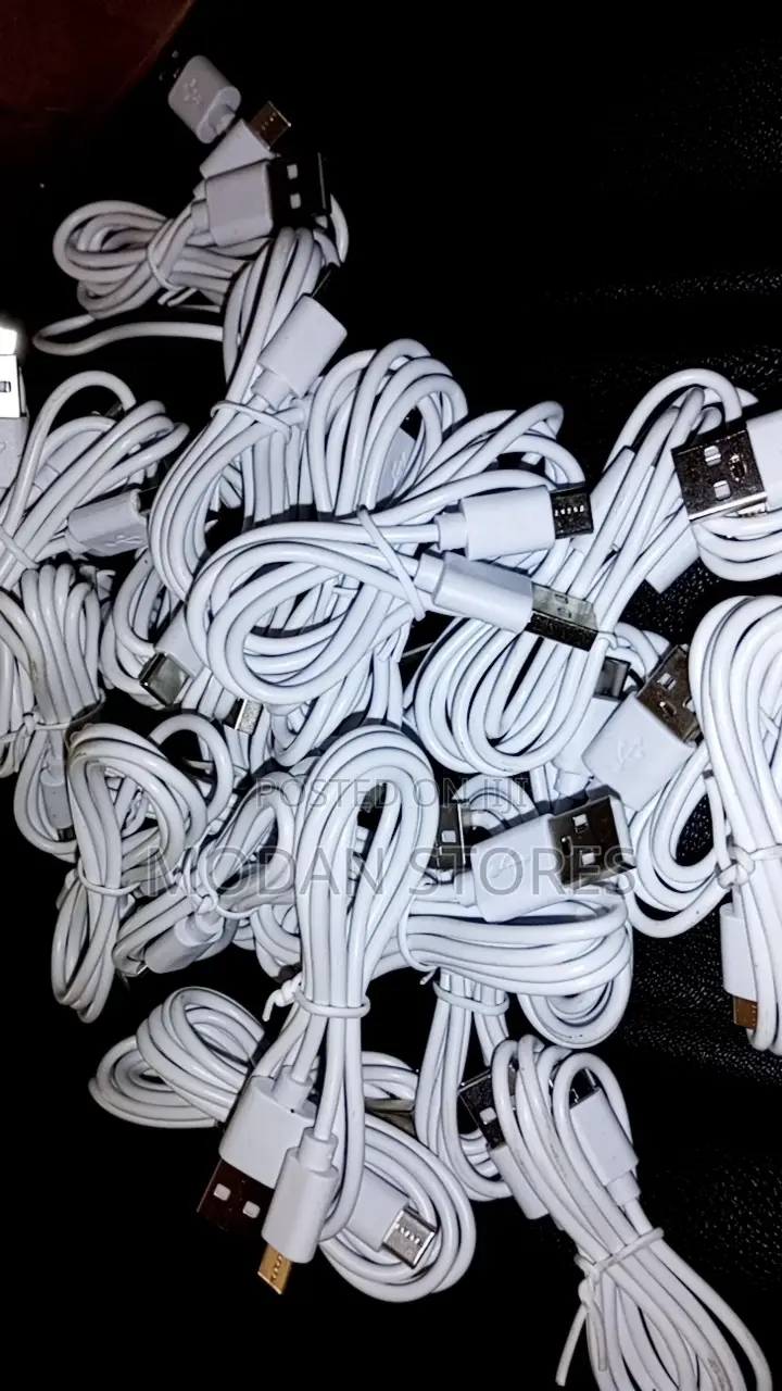100 USB Charging Cable ( Type C)