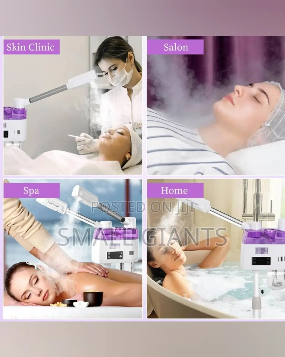 2 In 1 Cold And Hot Double Nozzle Facial Steamer