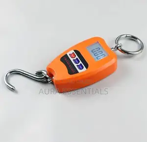 100kg Mini Crane Scale