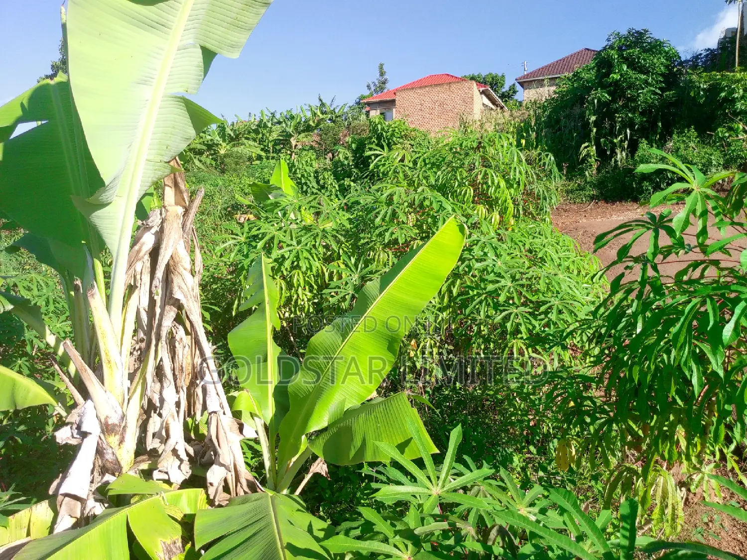 Land in Namawojolo