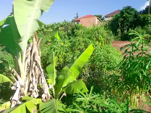 Land in Namawojolo