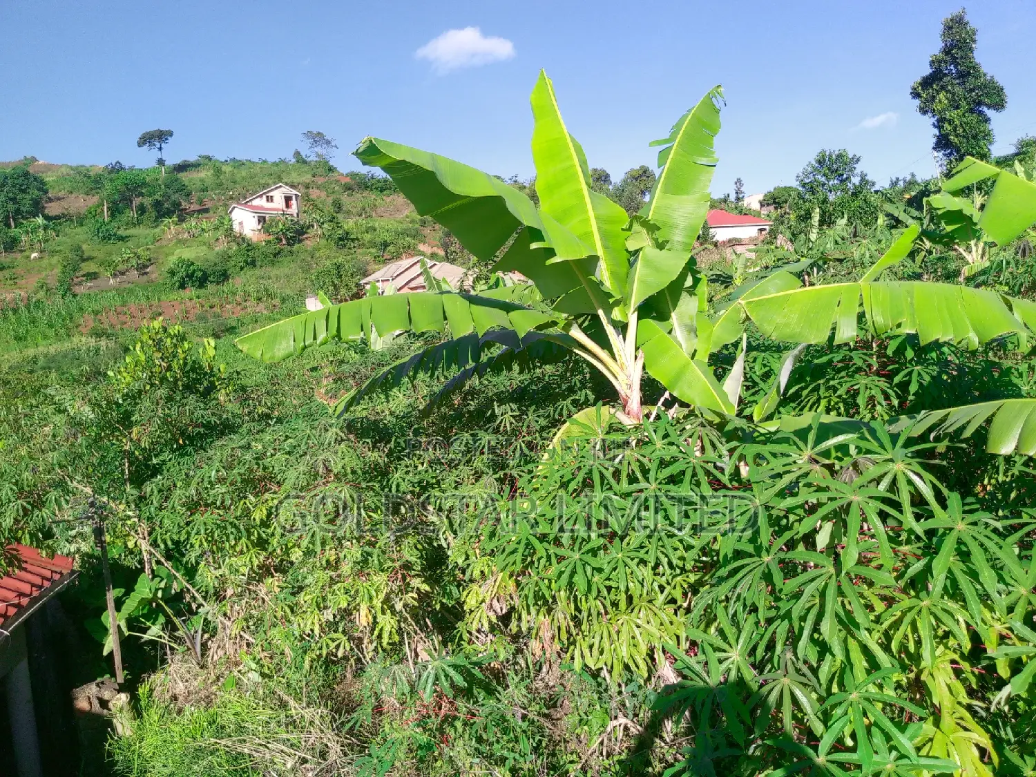 Land in Namawojolo