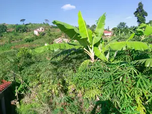 Land in Namawojolo