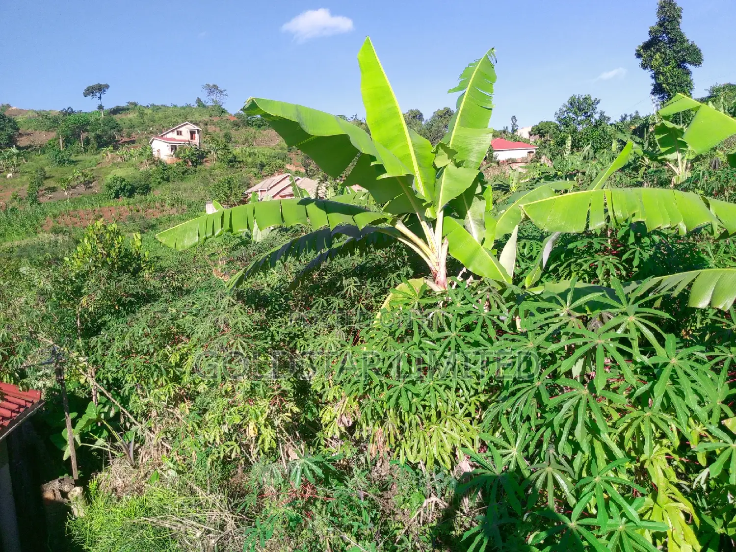 Land in Namawojolo