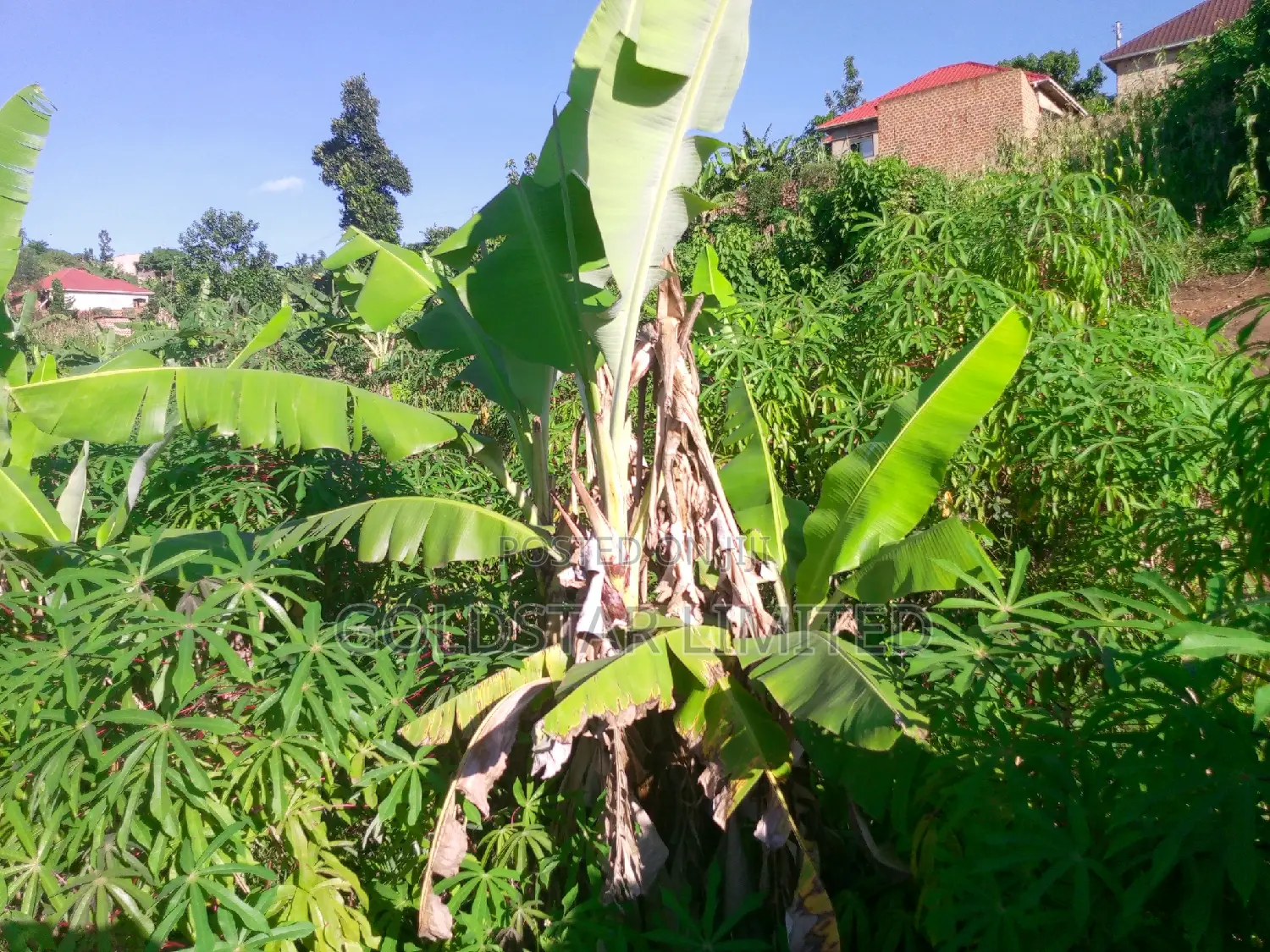 Land in Namawojolo