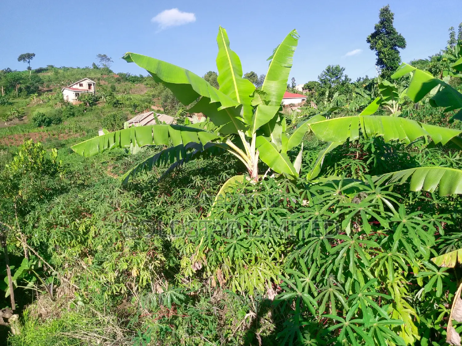 Land in Namawojolo