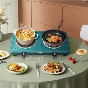 Winning Star Electric Double Hotplate
