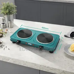 Winning Star Electric Double Hotplate