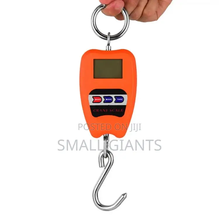 100kg Mini Crane Scale
