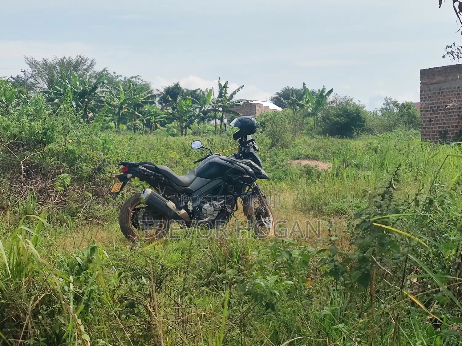 Suzuki V-Strom 2017 Black