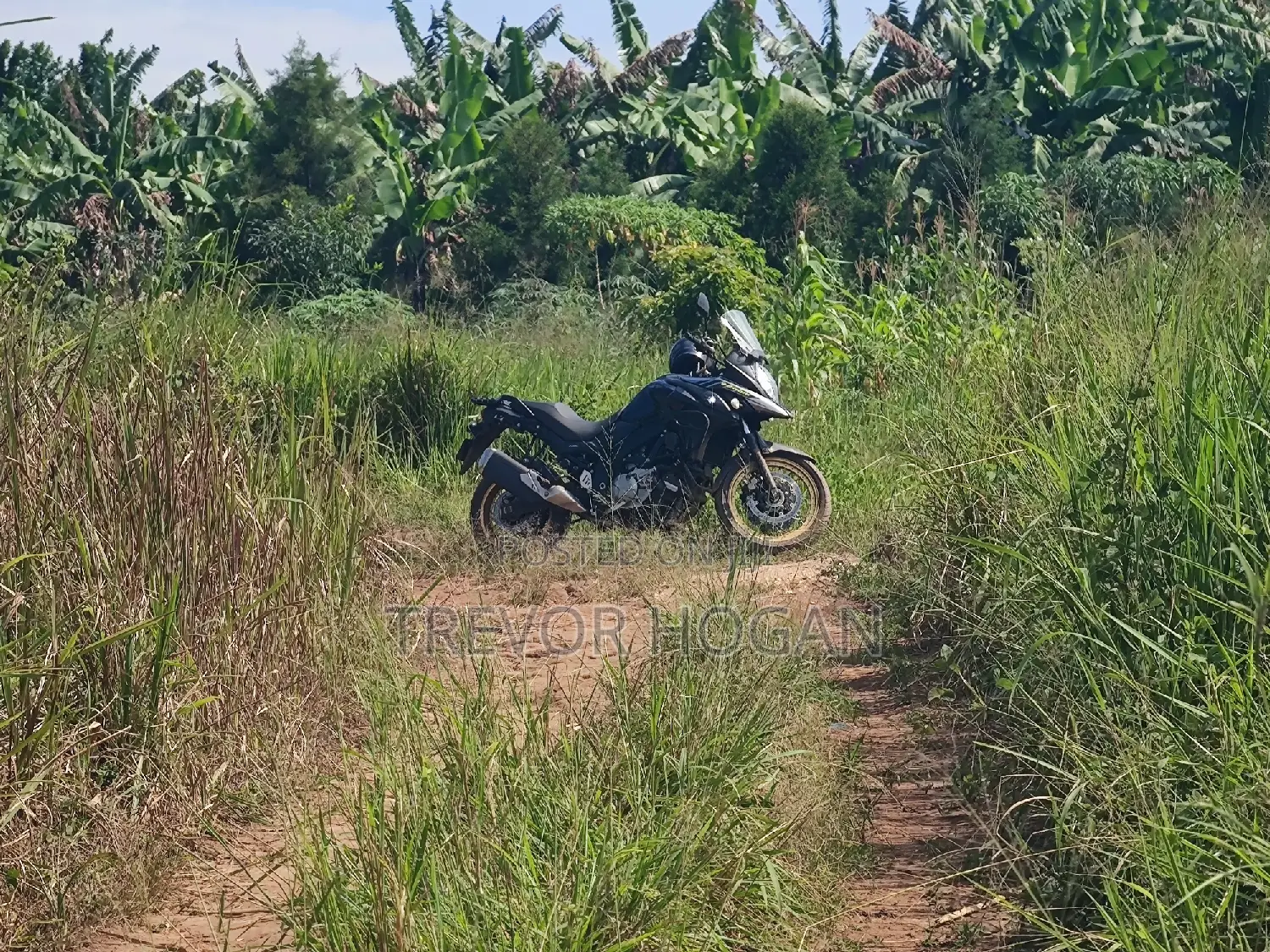 Suzuki V-Strom 2017 Black