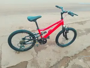 Spring Bike Original