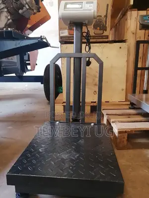 300kg Digital Platform Weighing Scale With Guard
