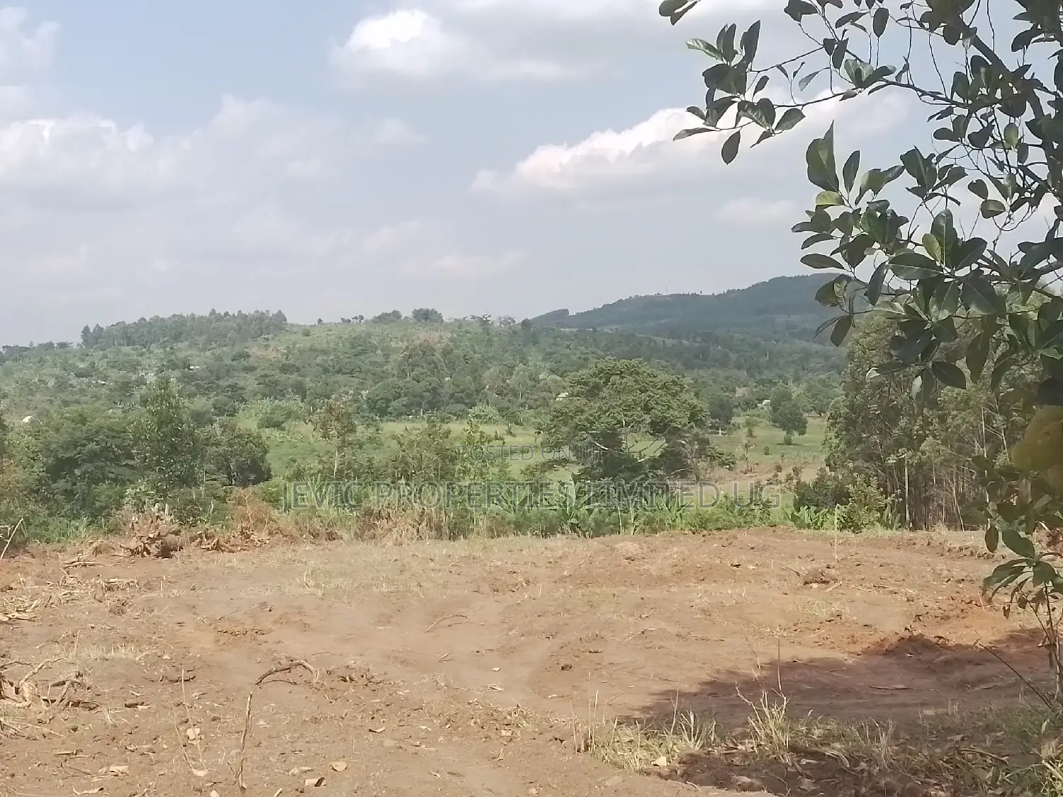 Affordable Plots in Gobero.