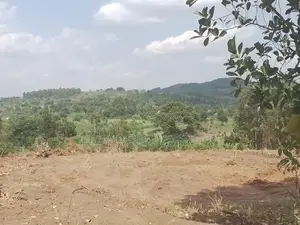 Affordable Plots in Gobero.