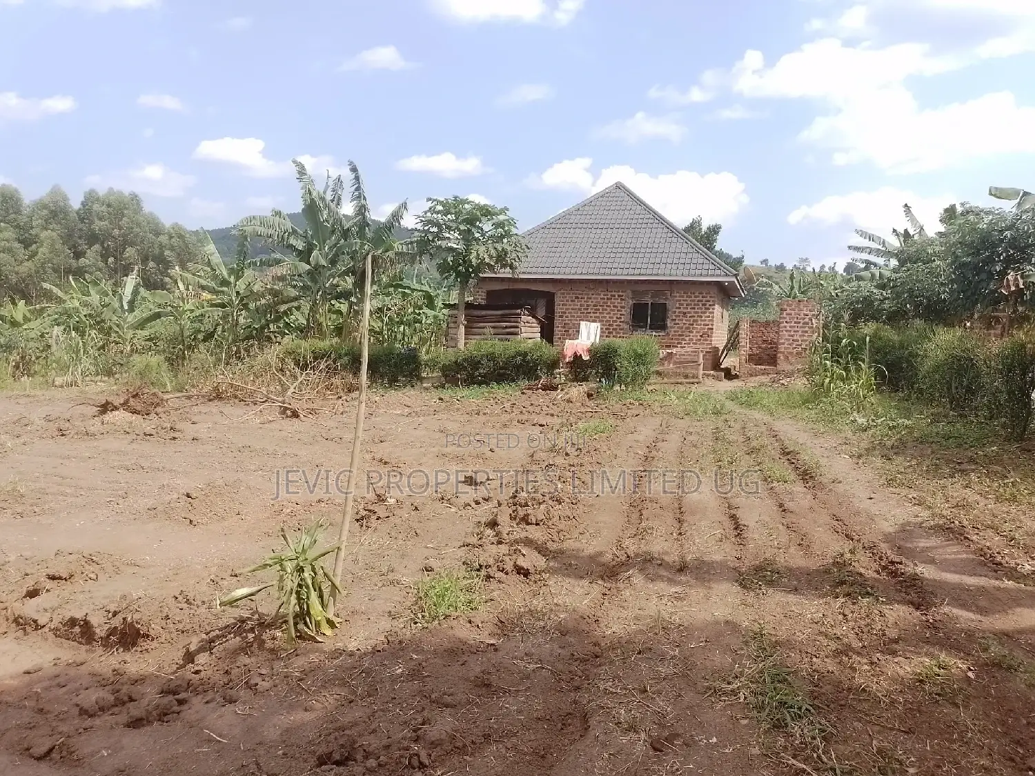Affordable Plots in Gobero.