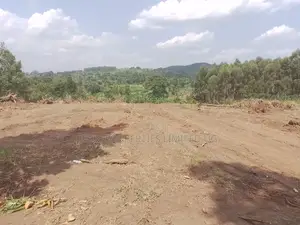 Affordable Plots in Gobero.