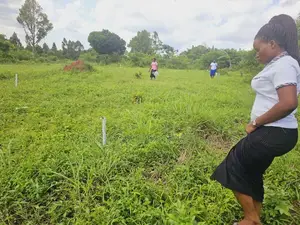 Good, Nice and Well Laid Plots in Namayumba.