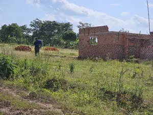 Wakiso Namayumba Plots Available for Sale 200 MTRS on Tamrac