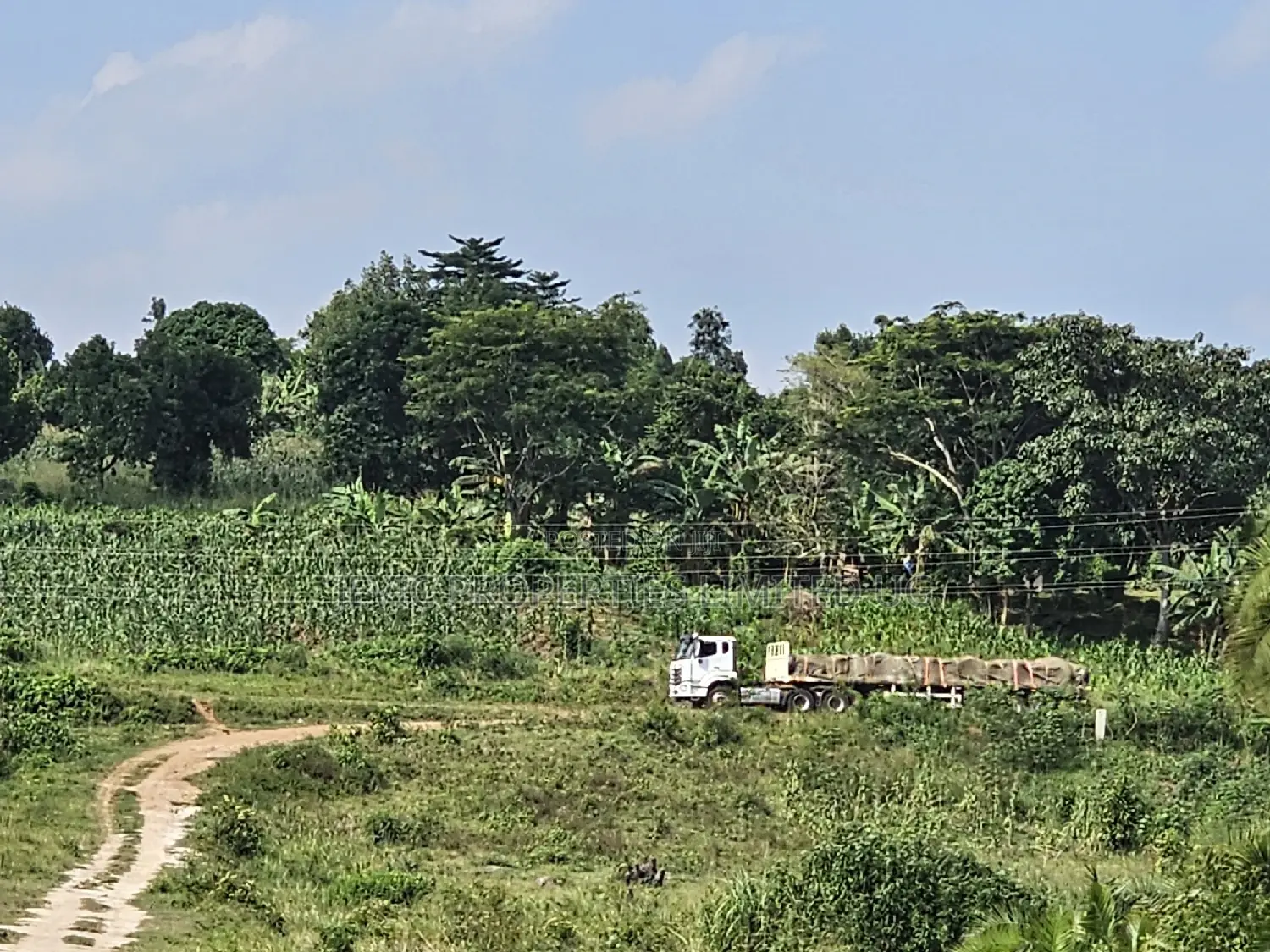 Plots at Affordable Prices in Namayumba Nagulu