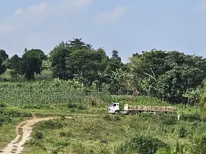 Plots at Affordable Prices in Namayumba Nagulu