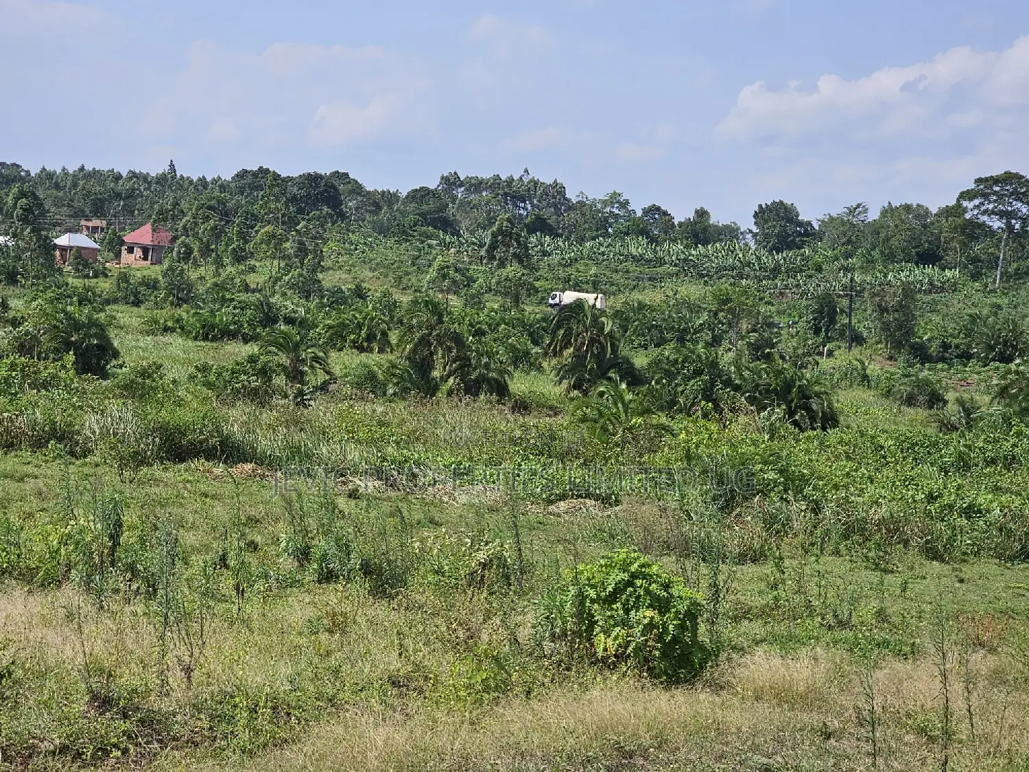 Plots at Affordable Prices in Namayumba Nagulu