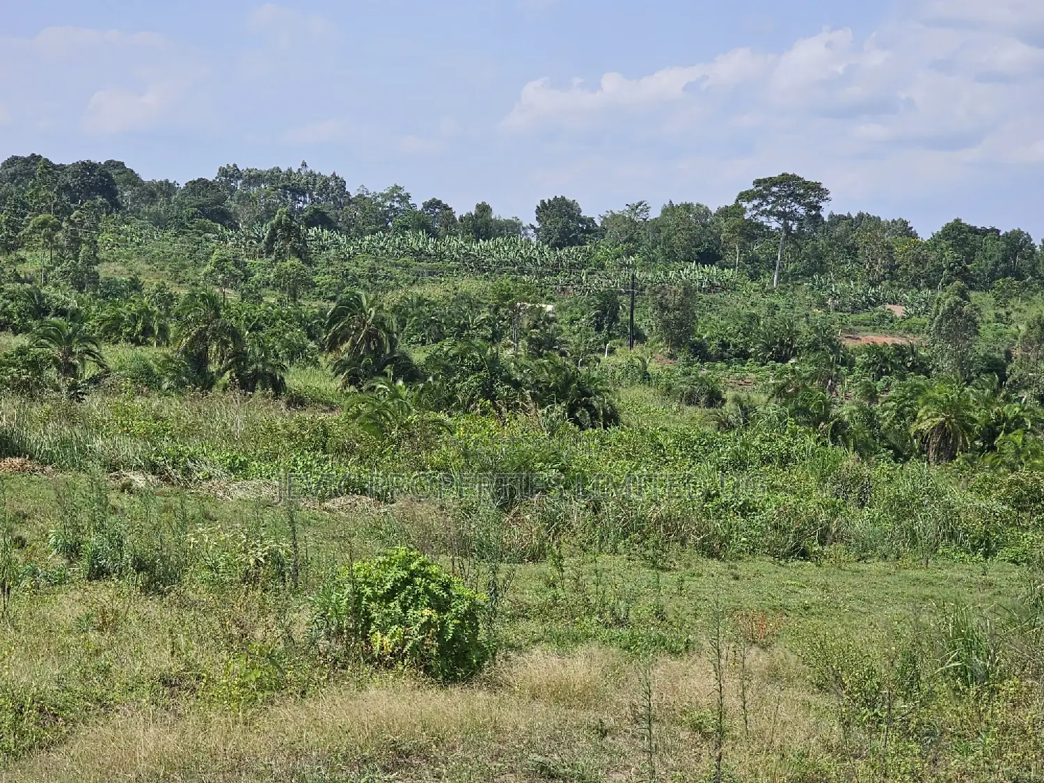Plots at Affordable Prices in Namayumba Nagulu