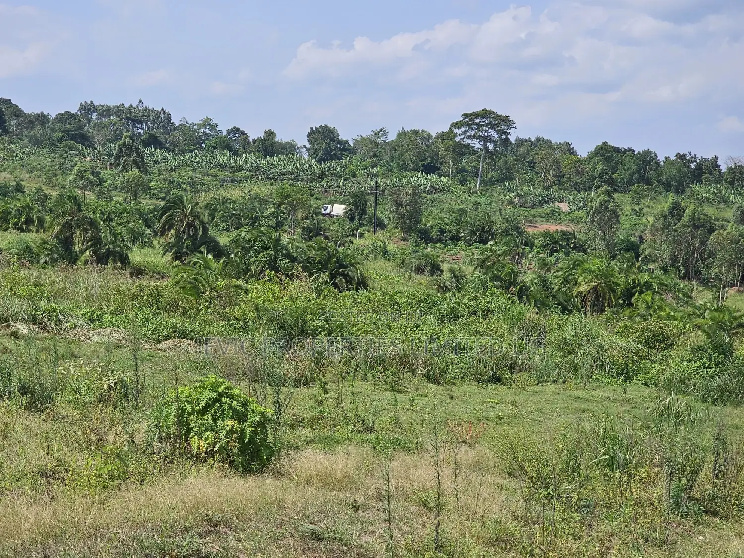 Plots at Affordable Prices in Namayumba Nagulu