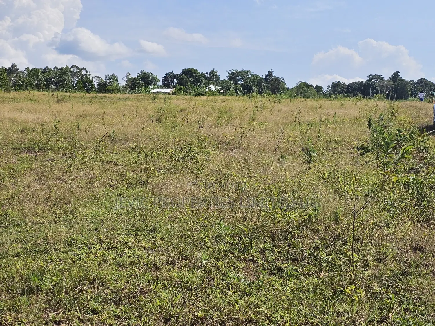 Affordable Plots Along the Main Road in Namayumba.