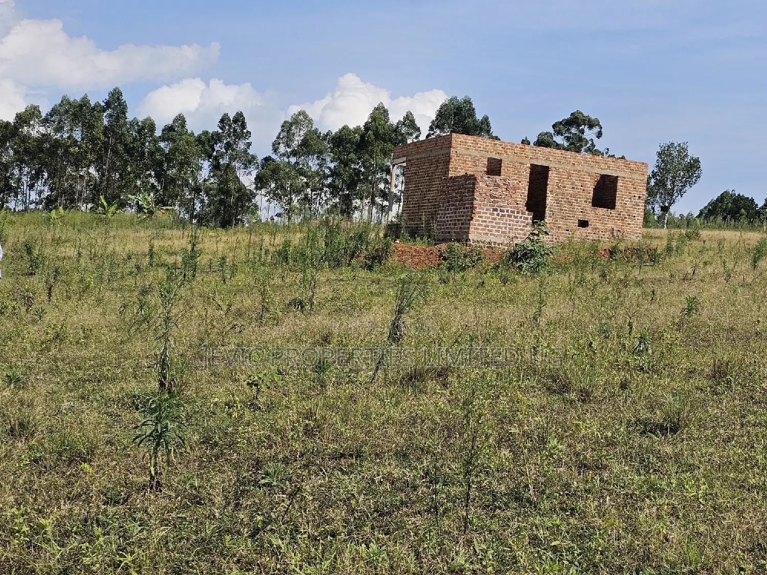 Affordable Plots Along the Main Road in Namayumba.