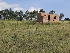 Affordable Plots Along the Main Road in Namayumba.