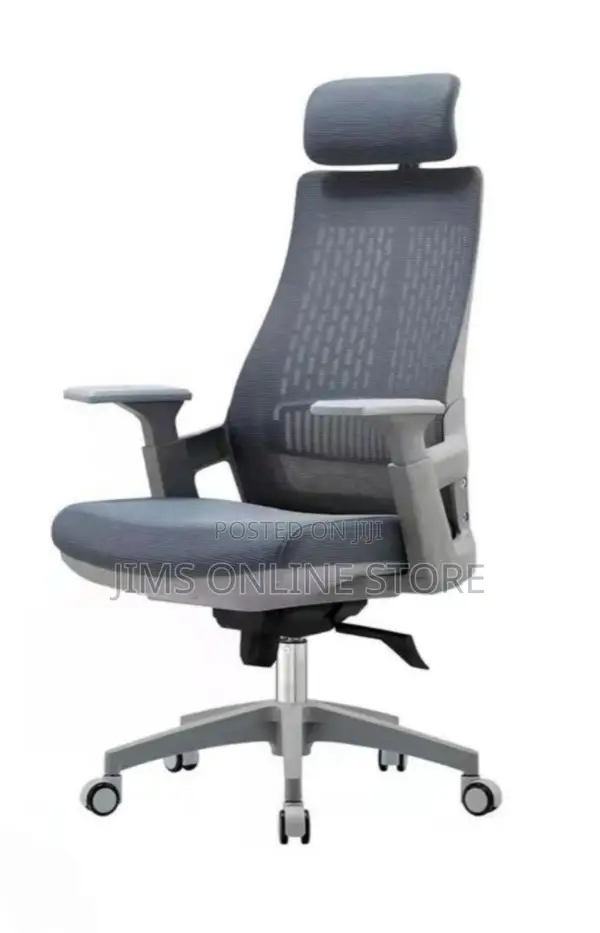 Genuine Executive Office Chair Mesh, Grey Colour