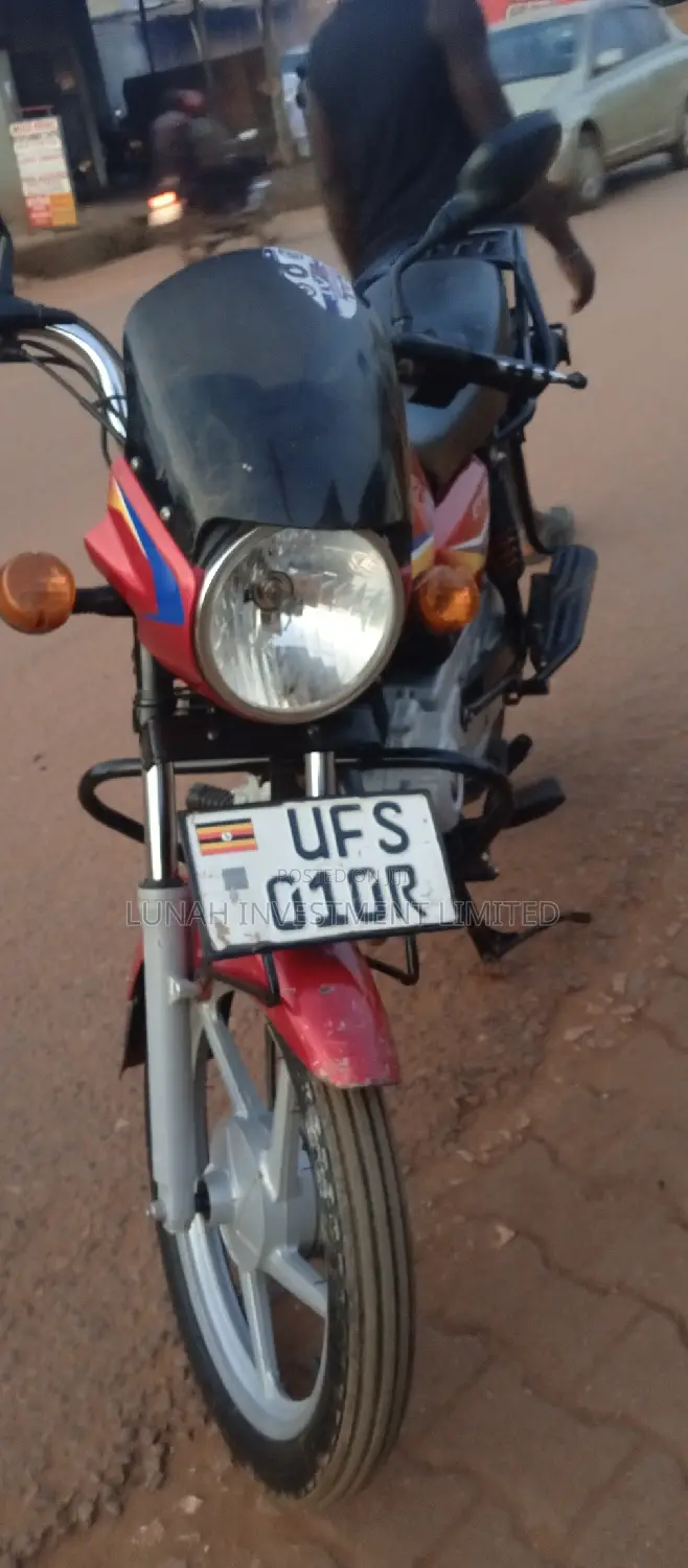 Bajaj CT 110X 2024 Pink