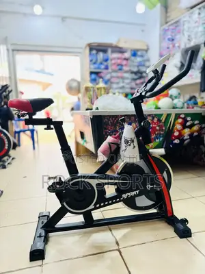 Spin Bike for Exercise