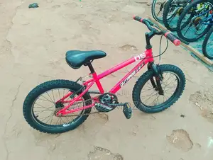 Dutrage Kids Bike