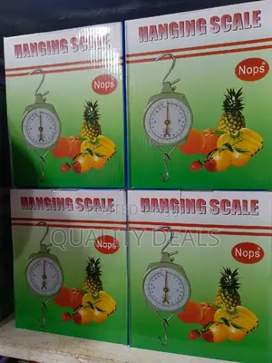 110kg Hanging Weighing Scale