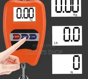 100kg Mini Crane Scale