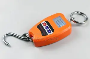 100kg Mini Crane Scale
