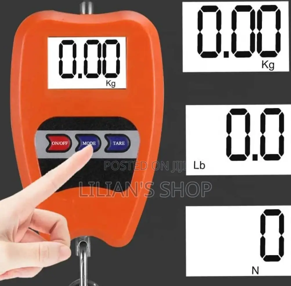 100kg Mini Crane Scale